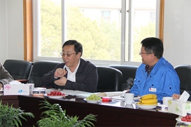 2013年3月18日，时任国度工信部节能司副司长杨铁生一行光临公司参观领导