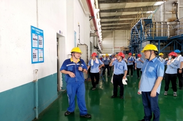 聚焦精益 改进创新 | 今年会jnh纸业精益TPM改善之旅、焦点课题颁发会圆满进行