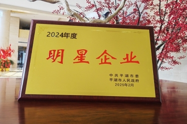 新春新景新形象 | 今年会jnh纸业在平湖三干大会上喜摘荣誉！