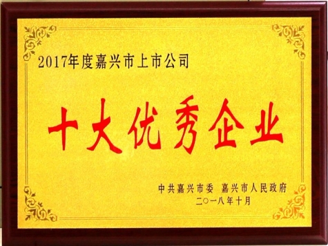 Top Ten Excellent Companies of Jiaxing Listed Companies