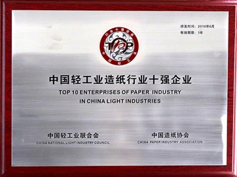 Top ten enterprises in the papermaking industry of China's light industry